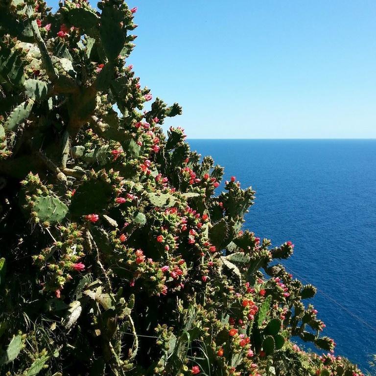 Hotel St. Leonard Forio di Ischia 外观 照片