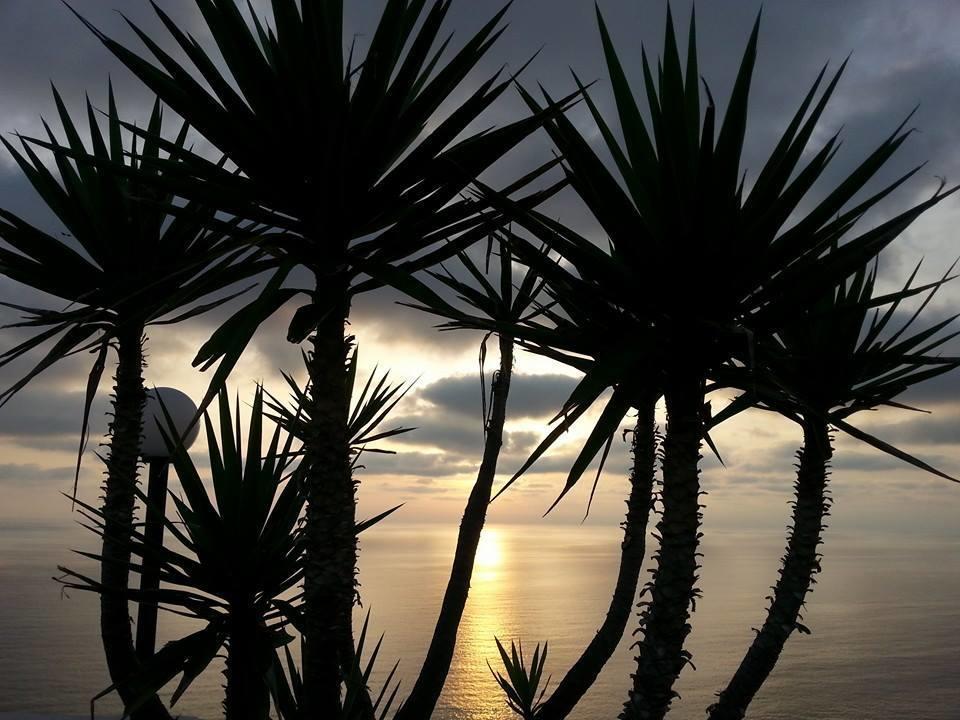 Hotel St. Leonard Forio di Ischia 外观 照片